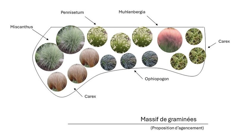  - Kit de massif : Massif de graminées - 15 plants - Massifs