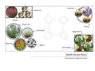  - Kit balcon : Jardin de pots - 15 plants - Plante balcon