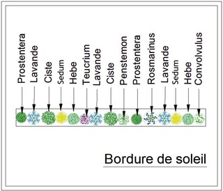 bordure de soleil