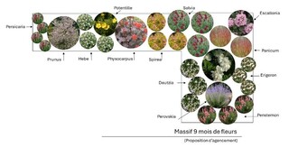  - Kit de massif : 9 mois de fleurs - 30 plants - Massifs