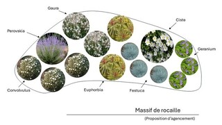  - Kit de massif : Jardin de rocaille - 15 plants - Massifs